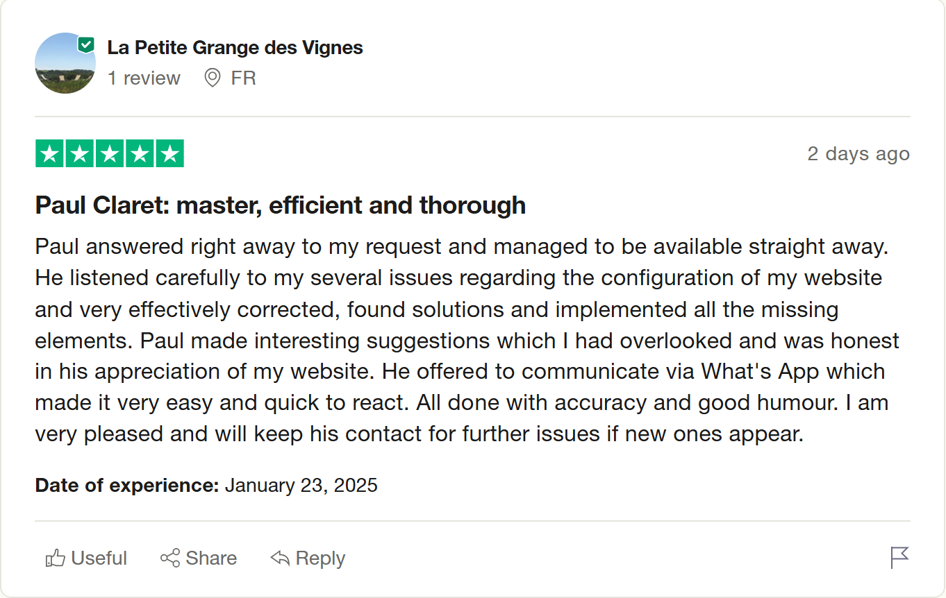 Review from Trustpilot - Client from Raise project